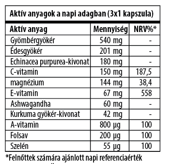 Lung Focus - Image 2